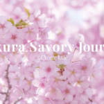 Sakura Savory Journey of Your Life